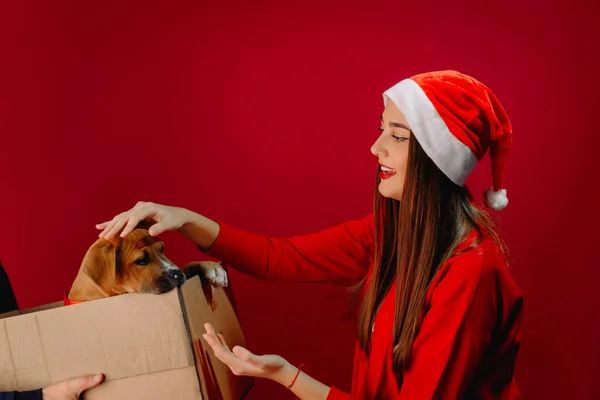 Šťastná Dívka Hladí Psa Kterého Santa Dal Vánocům Červené Pozadí — Stock fotografie