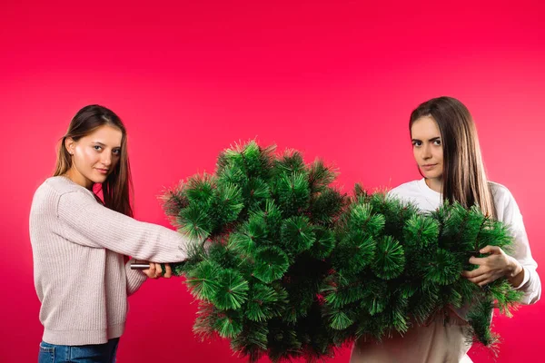 Meninas Carregam Uma Árvore Verde Preparação Para Férias Natal Foto — Fotografia de Stock