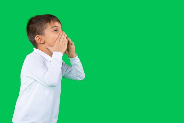 Retrato Del Perfil Del Niño Edad Preescolar Sosteniendo Sus Manos — Foto de Stock