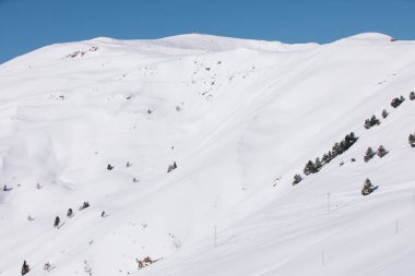 Uzakta sadece ağaçların tepelerinin görülebildiği karla kaplı bir dağ. Açık mavi gökyüzü.