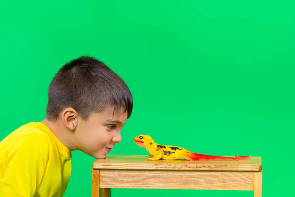 Un niño travieso de preescolar apoyó su barba en un taburete y miró a los ojos de un lagarto. Fondo verde con espacio vacío. — Foto de Stock