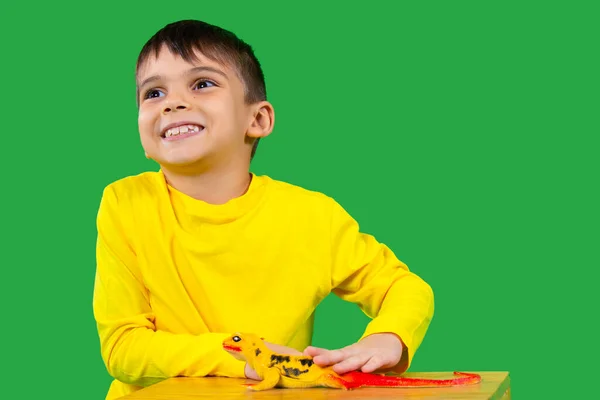 Retrato de un niño sonriente que acaricia un lagarto doméstico en un taburete. Fondo verde. —  Fotos de Stock