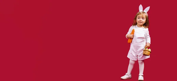 Banner de formato largo. Niño sosteniendo una pequeña canasta. Linda niña pequeña está usando traje blanco y orejas de conejo en el día de Pascua sosteniendo una zanahoria, mirando dulzura al espacio vacío lateral. Fondo rojo — Foto de Stock