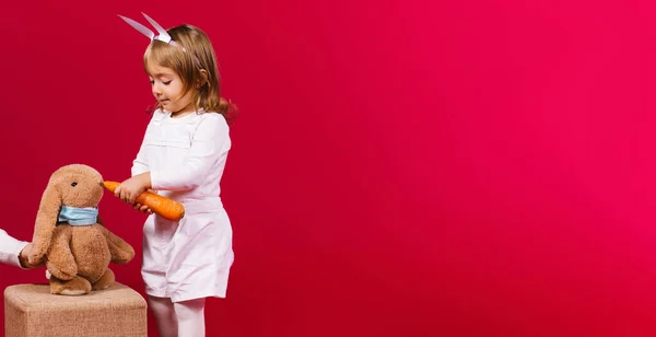 Banner, formato largo. Una niña de jardín de infantes vestida con un traje blanco y orejas de conejo alimenta a su conejito de juguete favorito con zanahorias. Fondo rojo con espacio de anuncio lateral vacío. — Foto de Stock