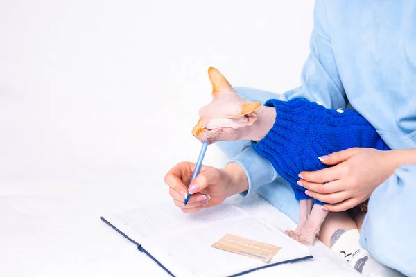 İş, eğitim, okul, evcil hayvan bakım konsepti. Sfenks kedi patileri beyaz kanepe arka planında günlüğün üzerinde. Kedi sahibinin kalemiyle oynuyor, çalışmaya ya da çalışmaya yardım ediyor, uzaktan kumandalı. Yüksek kalite fotoğraf