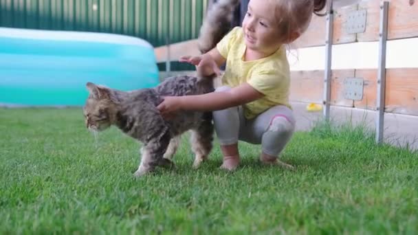 Das kleine Mädchen stößt die Katze weg, sie will nicht mit ihm spielen, sie ist der Katze überdrüssig. — Stockvideo