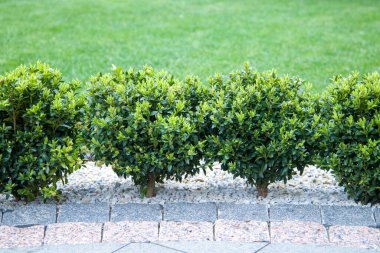 Bahçedeki çimenler, dekoratif taşlarla kaplı kutular.