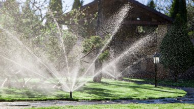 Bahçede su fıskiyesi