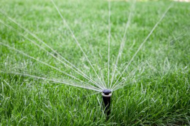 Çimlere fıskiyeler, yakın görüş.