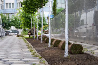 Şehirdeki park yolu boyunca yuvarlanan bir çimenlik..