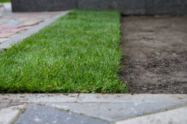 One strip of a rolled lawn keeps within.
