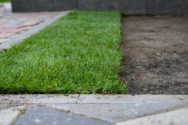 One strip of a rolled lawn keeps within.