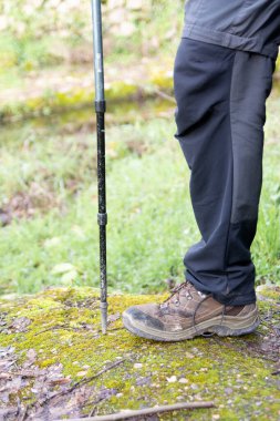 Sonbahar dağlarında sopayla yürümek