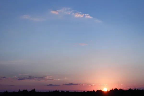 Gece gökyüzü ile orman kenarı üzerinde batan güneşin