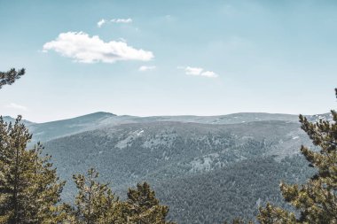 Ağaçlar arasında dağ manzarası.