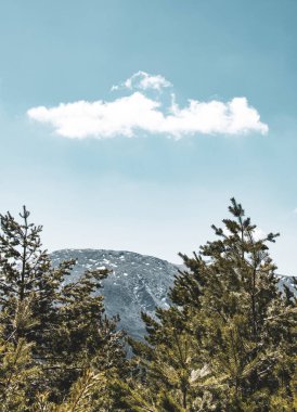 Dikey fotoğraf ağaçlar, bir dağ ve büyük bir buluttan oluşur..