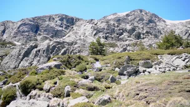 Muntele Stâncos Plante Mici Pârâu — Videoclip de stoc