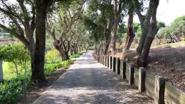 September 2020 Lisbon Portugal Still Footage Beautiful Buddha Eden Garden — Stock Video