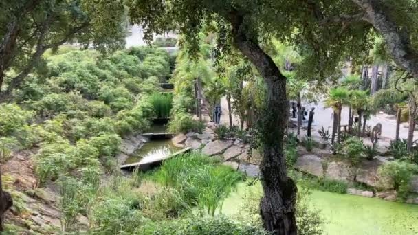 Septiembre 2020 Lisboa Portugal Imágenes Fijas Del Hermoso Jardín Buddha — Vídeo de stock