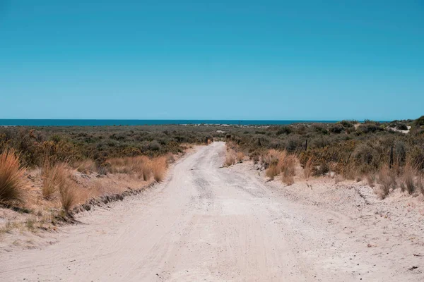 Mooi Voorbeeld Van Lege Straat Woestijn Het Noorden Van Patagonië — Stockfoto