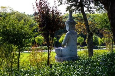 Bacalha Buddha Cenneti 'nde Buda heykeli, Asya tarzı bahçe, Quinta dos Loridos, bombardıman, Portekiz, 10 Eylül 2020.