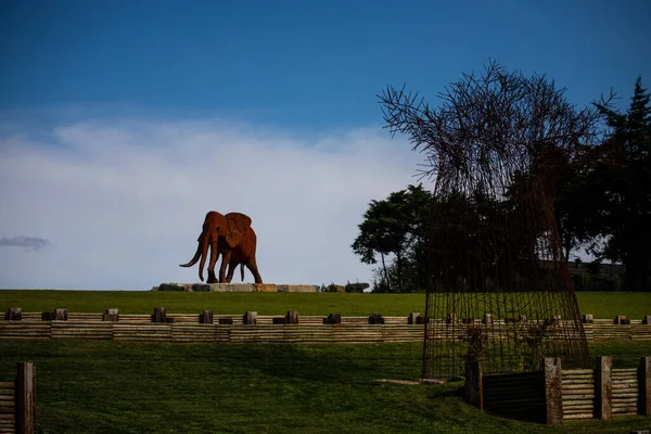 Buda Escultura Bacalha Buda Éden Jardim Estilo Asiático Quinta Dos — Fotografia de Stock