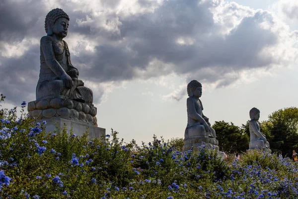 Buddha Skulptur Bacalha Buddha Eden Garten Asiatischen Stil Quinta Dos — Stockfoto