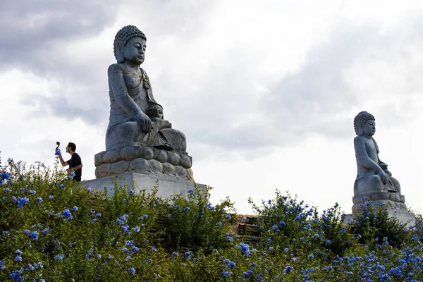 Buddha Skulptur Bacalha Buddha Eden Trädgård Asiatisk Stil Quinta Dos — Stockfoto