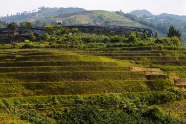 Vietnam terasları, sapa 'nın hemen yanında, kuzeyden güneye kırsal bölgelerde çok güzel pirinç tarlalarıyla kaplı bir partidir..