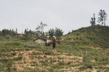Yeşil Doğa Dağı, Asya 'da, Vietnam' da ziraat, küçük bir kulübe, doğa sevgisiyle çiftçilerin çalıştığı yer, Güney Asya 'da kırsal yaşam..