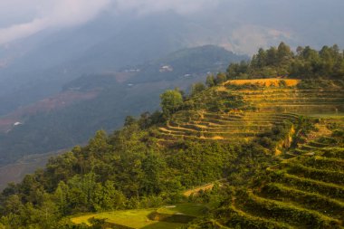 Vietnam manzarası pirinç tarlası, nehir, dağ ve alçak bulutlar sabahın erken saatlerinde Trung Khanh, Cao Bang, Vietnam 'da.
