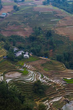 Vietnam manzarası pirinç tarlası, nehir, dağ ve alçak bulutlar sabahın erken saatlerinde Trung Khanh, Cao Bang, Vietnam 'da.