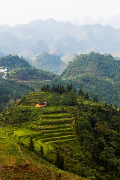 Cang Chai Landscape Terraced Rice Field Sapa North Vietnam Rice — Stock Photo, Image