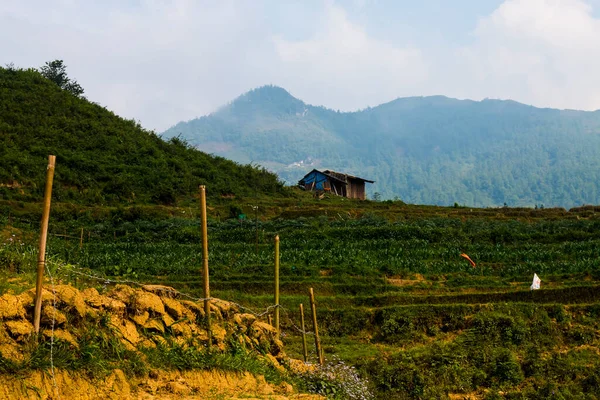 Green Nature Mountain Step Agriculture Asia Vietnam Small Hut Fully — Stock Photo, Image