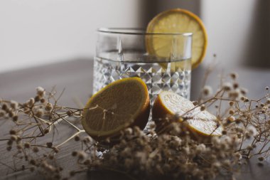 Alkol içeceği (cin ve tonik kokteyl) limon meyvesi ile süslenmiş ve kırsal arka planda güneş ışığıyla izole edilmiş çiçek. Limonlu ve otlu buzlu kokteyl..