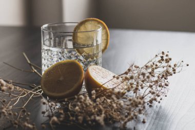 Alkol içeceği (cin ve tonik kokteyl) limon meyvesi ile süslenmiş ve kırsal arka planda güneş ışığıyla izole edilmiş çiçek. Limonlu ve otlu buzlu kokteyl..