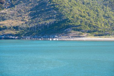 Şili 'nin güney kıyısında Horn Burnu enlemlerinden fiyort benzeri kanallar mevcuttur..