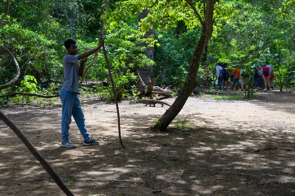 Komodo Dragon, the largest lizard in the world walks on ground. It is a dangerous prehistoric animal. Some tourists around and the rangers make the place safe. Komodo Island, Indonesia, south Asia. — Stock Image Komodo Dragon Largest Lizard World Walks Ground Dangerous Prehistoric Animal Stock Image