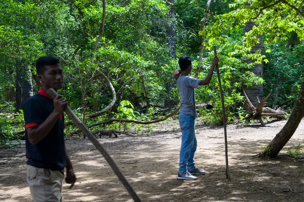 Komodo Dragon, the largest lizard in the world walks on ground. It is a dangerous prehistoric animal. Some tourists around and the rangers make the place safe. Komodo Island, Indonesia, south Asia. — Stock Image Komodo Dragon Largest Lizard World Walks Ground Dangerous Prehistoric Animal Stock Photo
