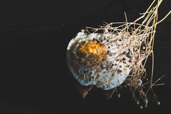 Homemade Meal Organic Tasty Cooked Eggs Healthy Breakfast Wood Dark — Stok fotoğraf
