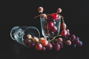 Red grapes, large bunch of fruits, fresh and tasty simple food with bright colors on a black background. flowers and fruit for an artistic food composition.