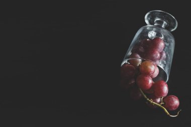 Red grapes, large bunch of fruits, fresh and tasty simple food on a dark background in a fancy minimal composition