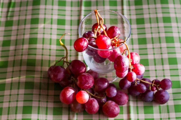 Red Grapes Large Bunch Fruits Fresh Tasty Simple Food Brights — Fotografia de Stock