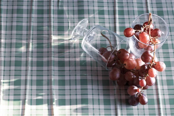 Red Grapes Large Bunch Fruits Fresh Tasty Simple Food Cold — 图库照片