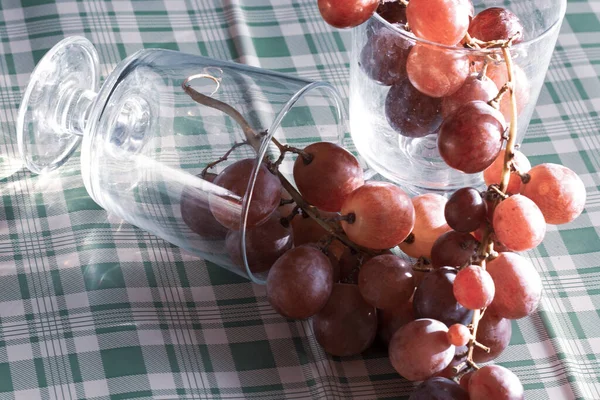 Red Grapes Large Bunch Fruits Fresh Tasty Simple Food Cold — 图库照片