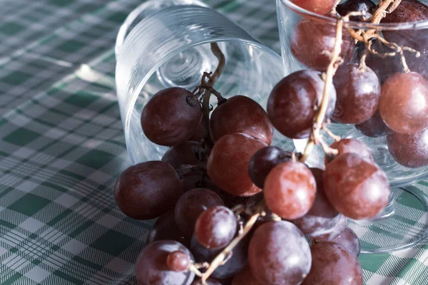 Red Grapes Large Bunch Fruits Fresh Tasty Simple Food Cold — 图库照片