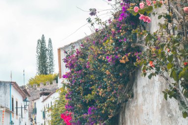 OBIDOS, PORTUGAL - 08-09-2020: Portekiz 'in orta kesiminde turistik bir yer olan ortaçağ Portekiz' in ortaçağ Portekiz kentinin hediyelik eşya dükkanları ve renkli dar sokakları. Mimarisi için ünlü hedef