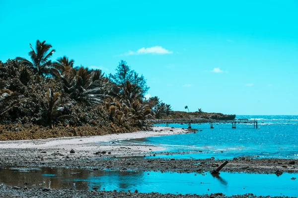 Uitzicht Een Prachtig Tropisch Strand Met Wit Zand Palmbomen Turquoise — Stockfoto