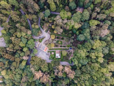 Sintra 'daki Pena Palace şatosundaki bahçenin havadan görünüşü tepe üzerindeki botanik bahçesi orman ağaçları arasındaki SIntra, Lizbon, Portekiz.