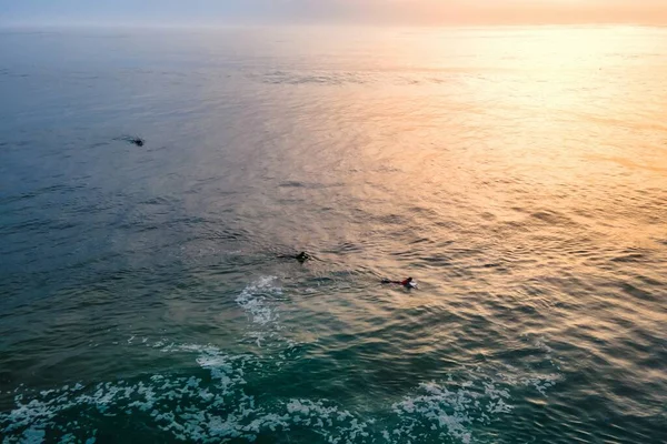 Luchtfoto Van Mensen Die Wachten Golven Die Surfen Bij Zonsondergang — Stockfoto